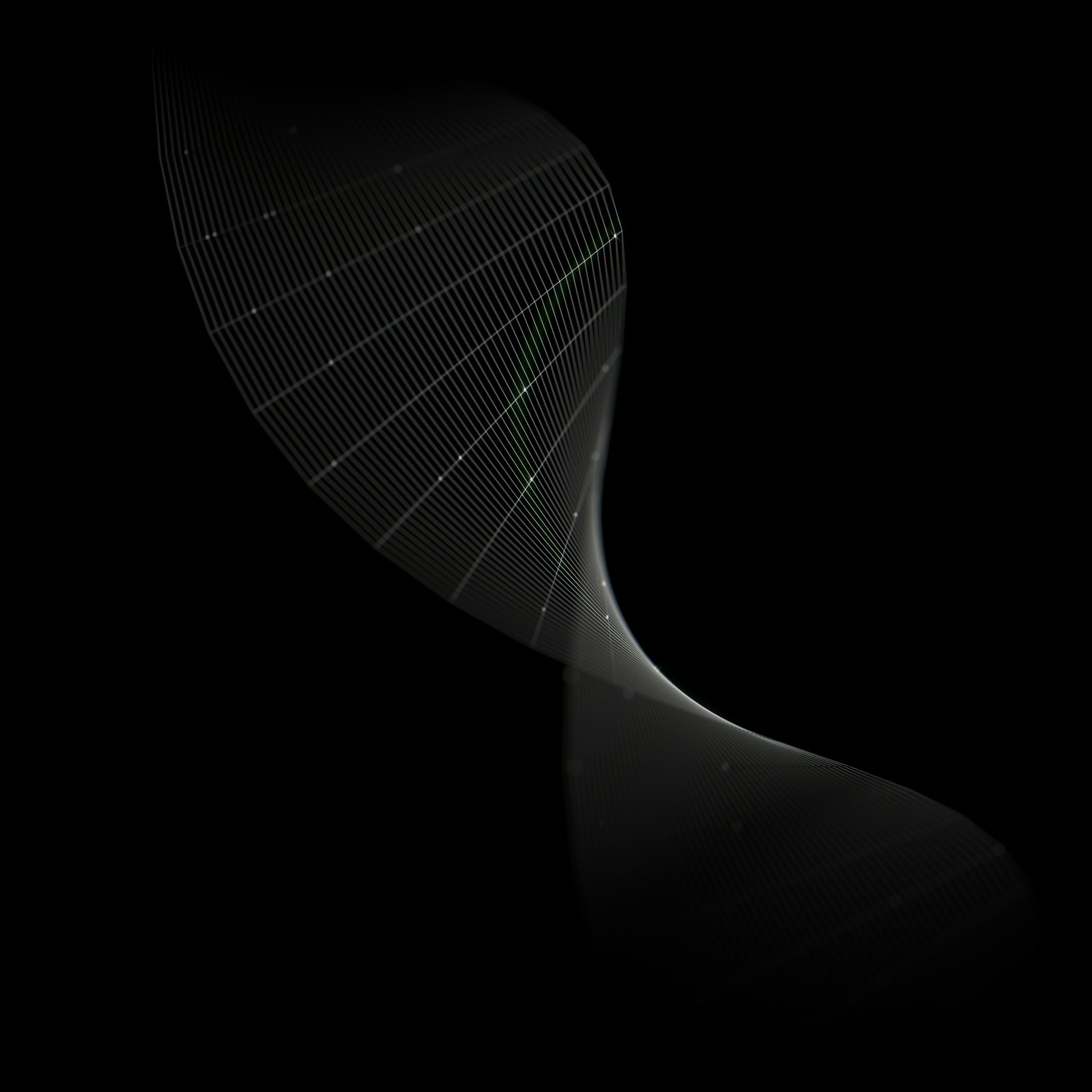 A delicate digital graphic artwork by Dovilė Tomkutė featuring intricate line work and subtle color gradients on a dark background.