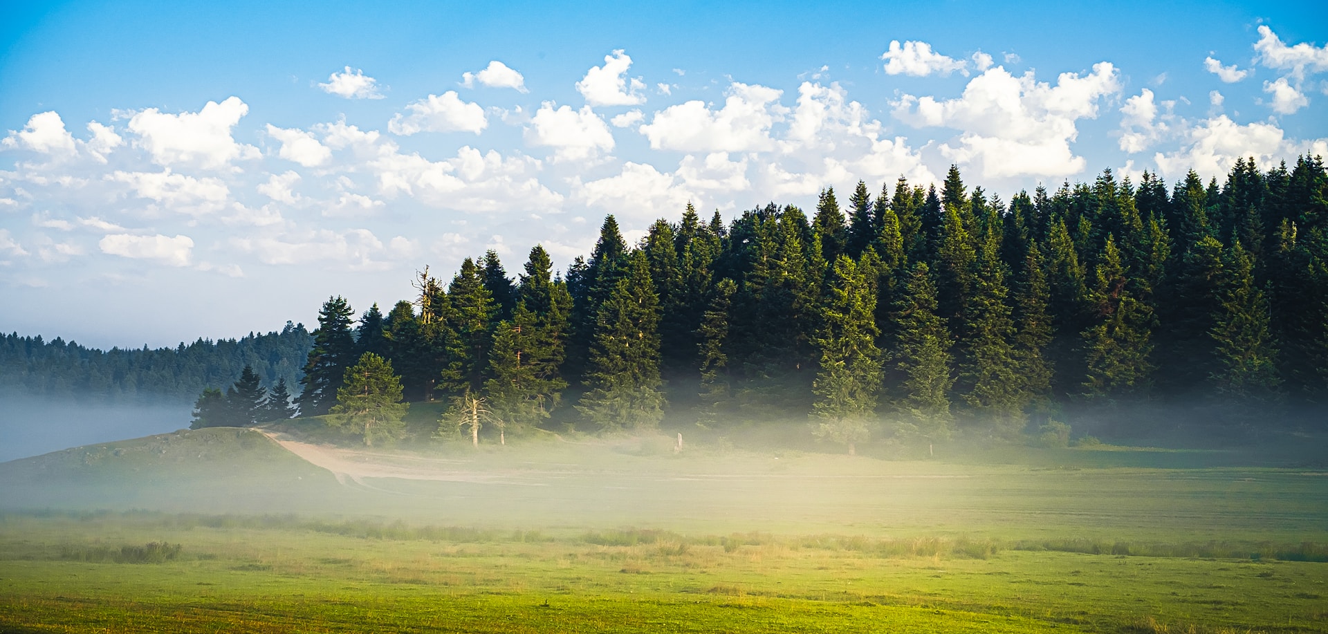 a green field with trees and clouds in the background