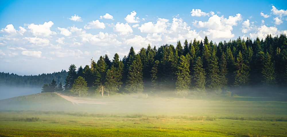 a green field with trees and clouds in the background