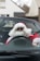 A person dressed in a Santa Claus outfit, complete with a red suit and white beard, is sitting in the driver's seat of a convertible car, wearing sunglasses. The background shows a suburban setting with houses and a blurred car.