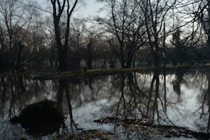 A serene landscape of a flooded village showing the impact of natural disasters.