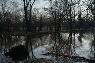 A serene landscape of a flooded village showing the impact of natural disasters.