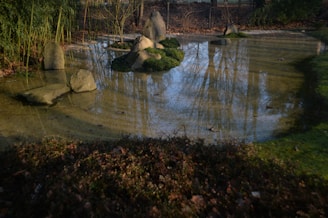 A garden pond with clear water reflects trees and the sky. Several large rocks are partially submerged, surrounded by patches of moss. The surrounding area has lush green grass and various plants, creating a serene and natural environment.