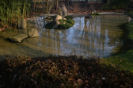 A garden pond with clear water reflects trees and the sky. Several large rocks are partially submerged, surrounded by patches of moss. The surrounding area has lush green grass and various plants, creating a serene and natural environment.