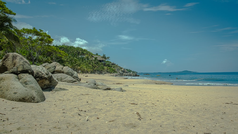 a sandy beach with large rocks and trees