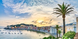 A picturesque coastal town features colorful buildings lining a curved bay, with numerous small boats anchored in the calm water. A tall palm tree stands prominently in the foreground, symbolizing a tropical environment. The sky is partly cloudy with the sun setting or rising, creating a warm and inviting atmosphere.