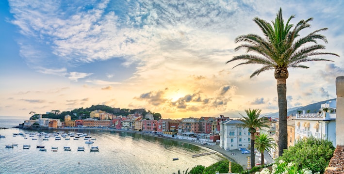 A picturesque coastal town features colorful buildings lining a curved bay, with numerous small boats anchored in the calm water. A tall palm tree stands prominently in the foreground, symbolizing a tropical environment. The sky is partly cloudy with the sun setting or rising, creating a warm and inviting atmosphere.