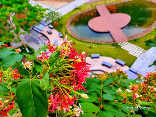 Vibrant red and pink flowers with lush green leaves are in the foreground, and a landscaped garden featuring a water body and a wooden pathway is in the background. The garden includes pathways and seating areas surrounded by greenery and decorative tiles, creating a peaceful and aesthetically pleasing environment.