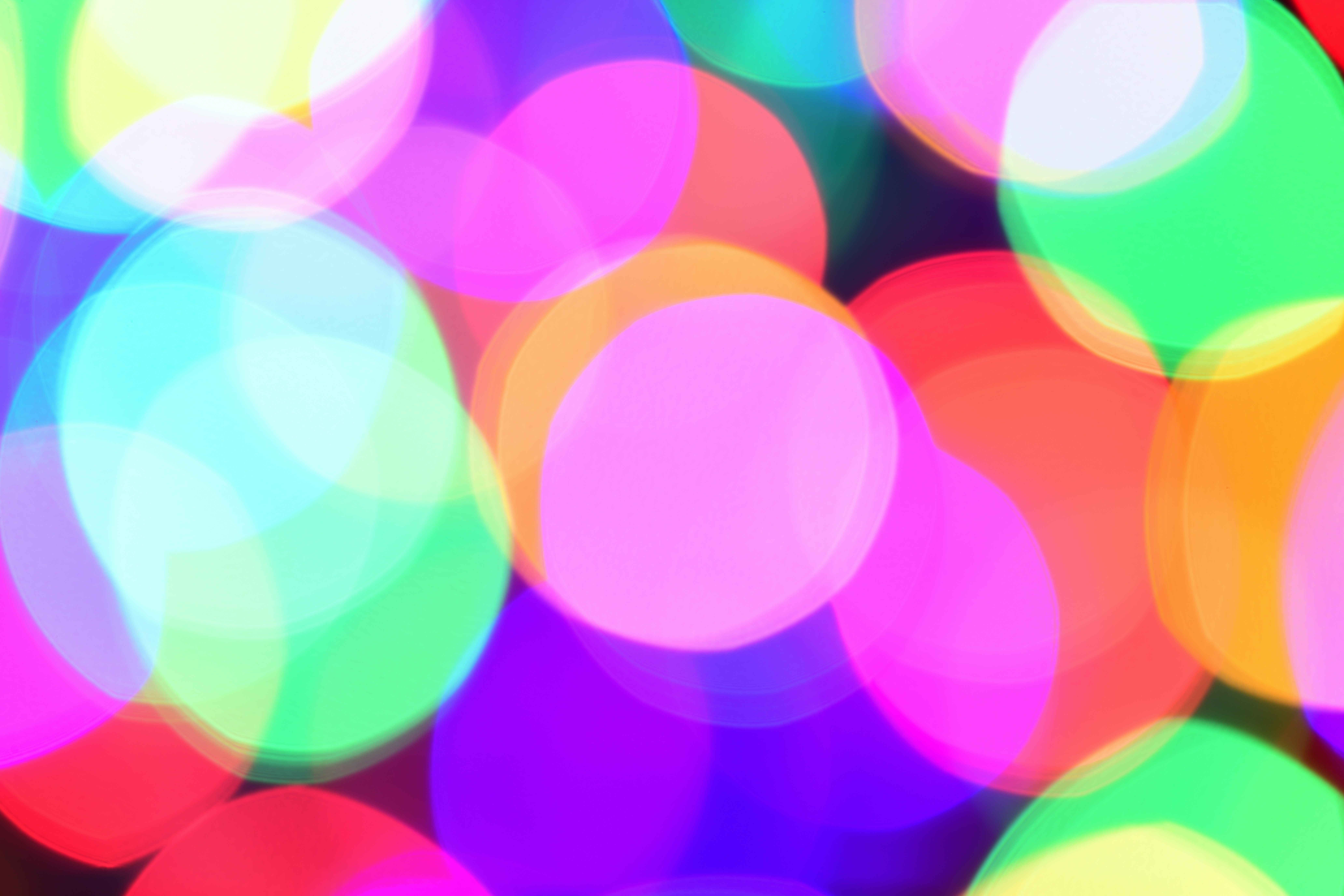 Photo by bkaraivanov