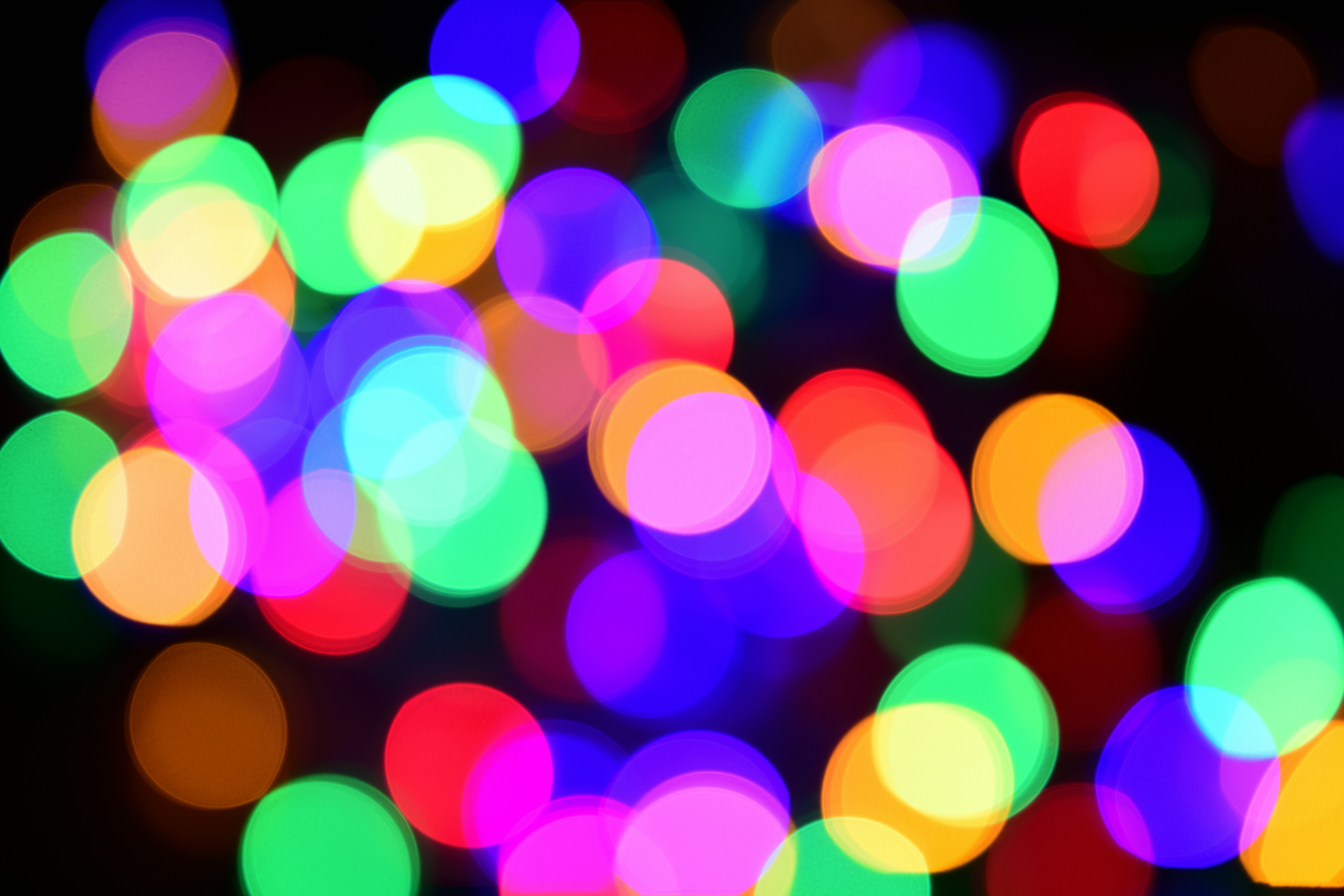 Photo by bkaraivanov