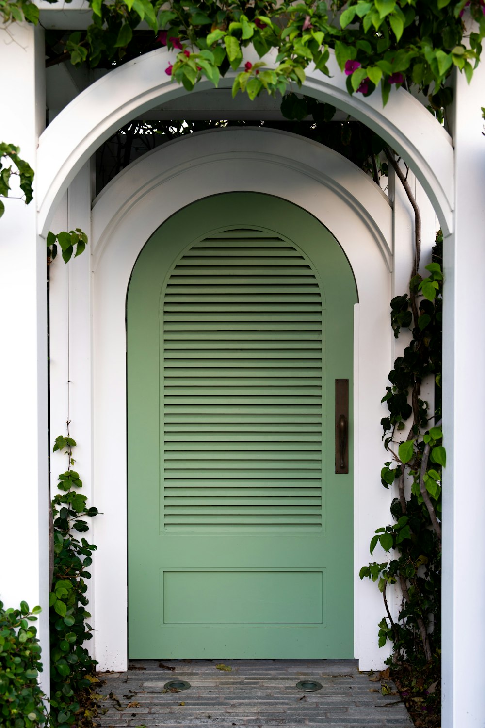 a green front door surrounded by greenery