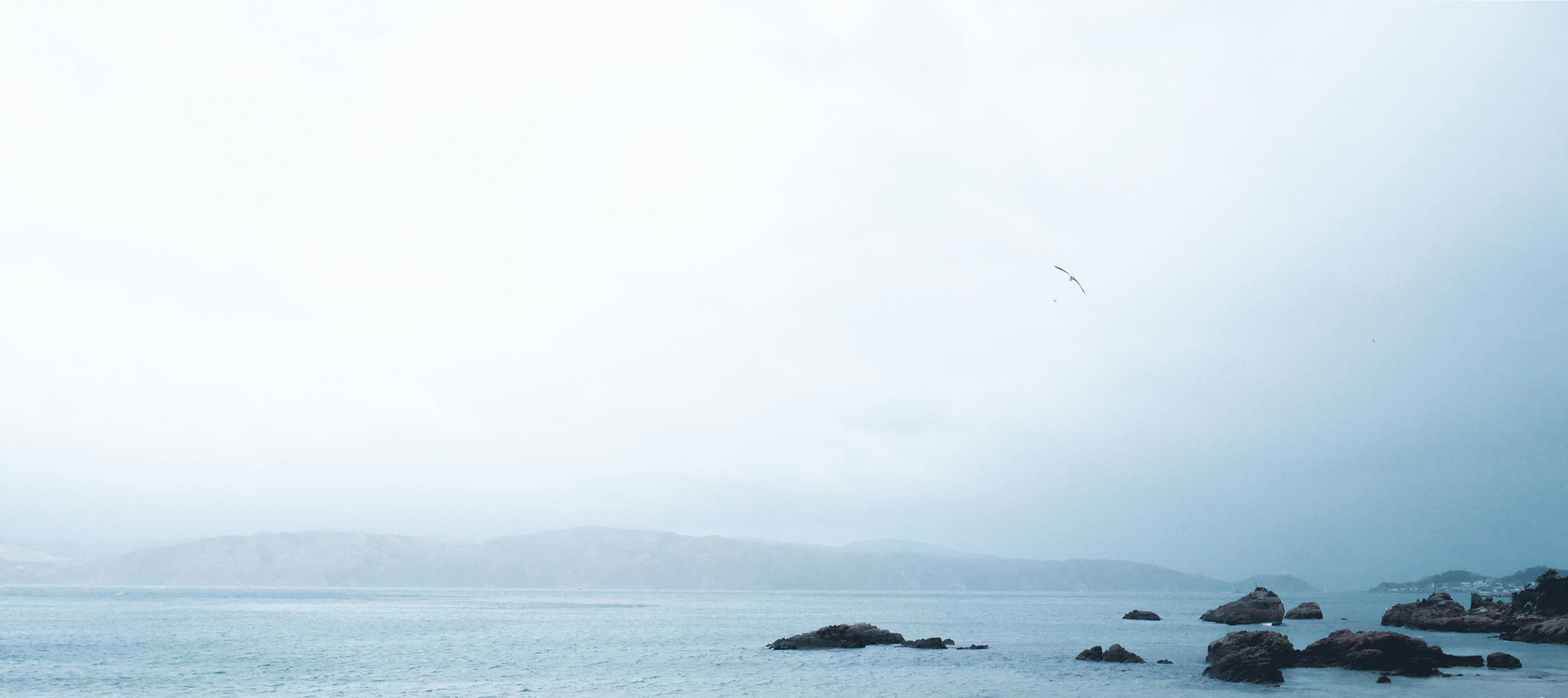 Photo by gilligillespie11