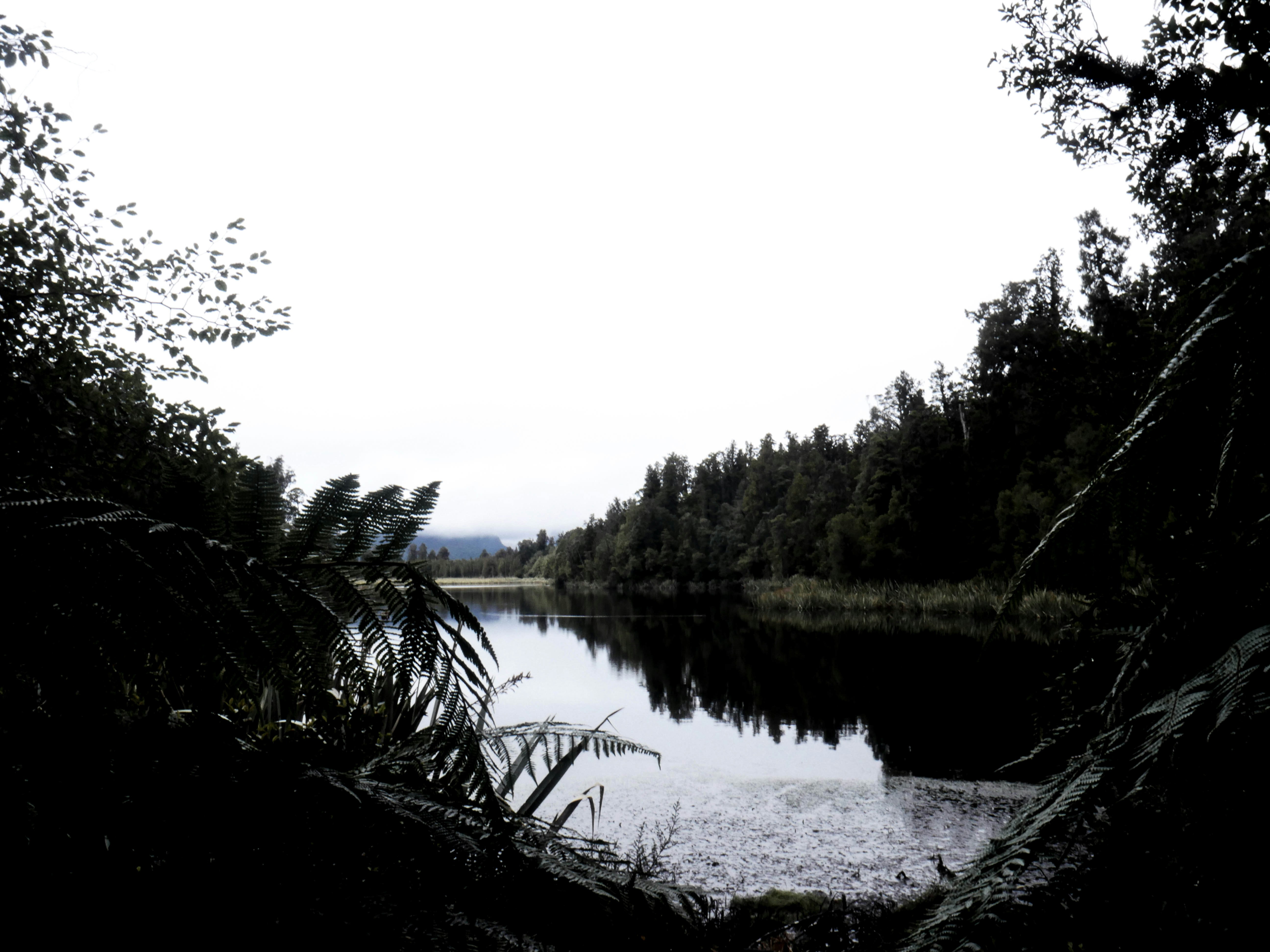 Photo by gilligillespie11