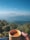 A cheerful man enjoying a cup of tea on a wooden bench overlooking tea fields.