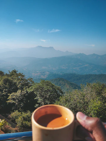 Hands holding a cup of tea with a peaceful window view in the background.