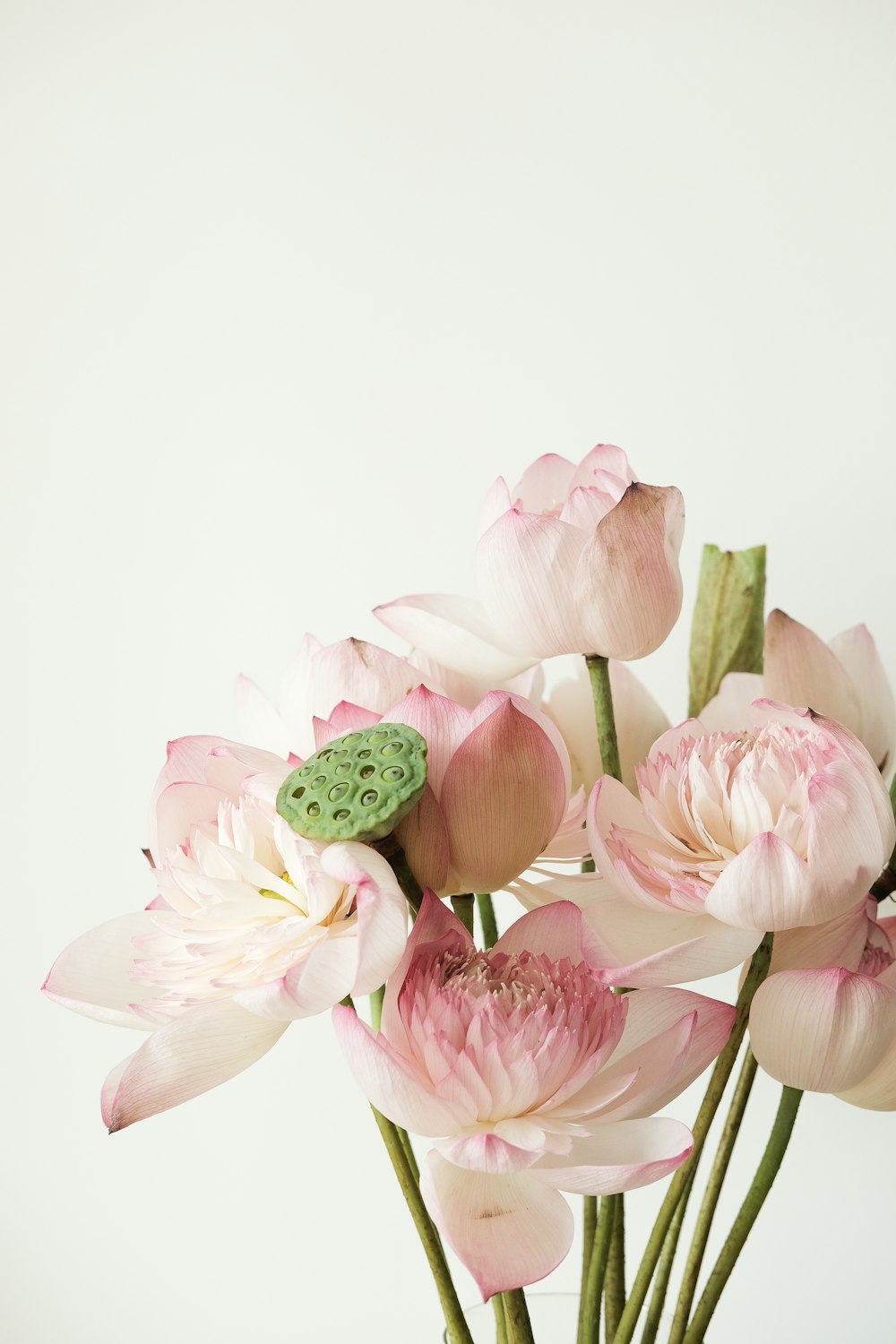 a vase filled with pink flowers on top of a table