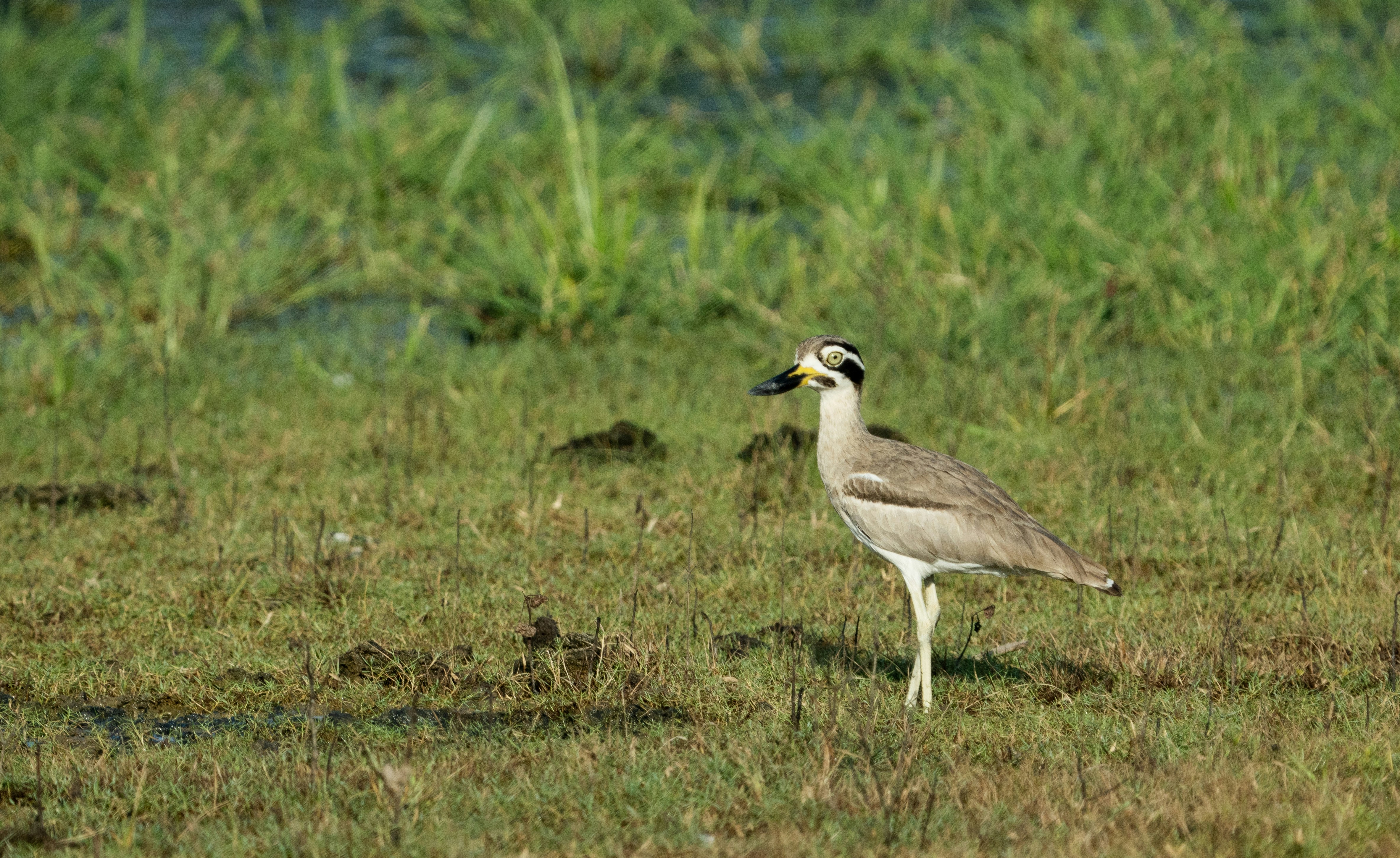 Photo by mhphotography13