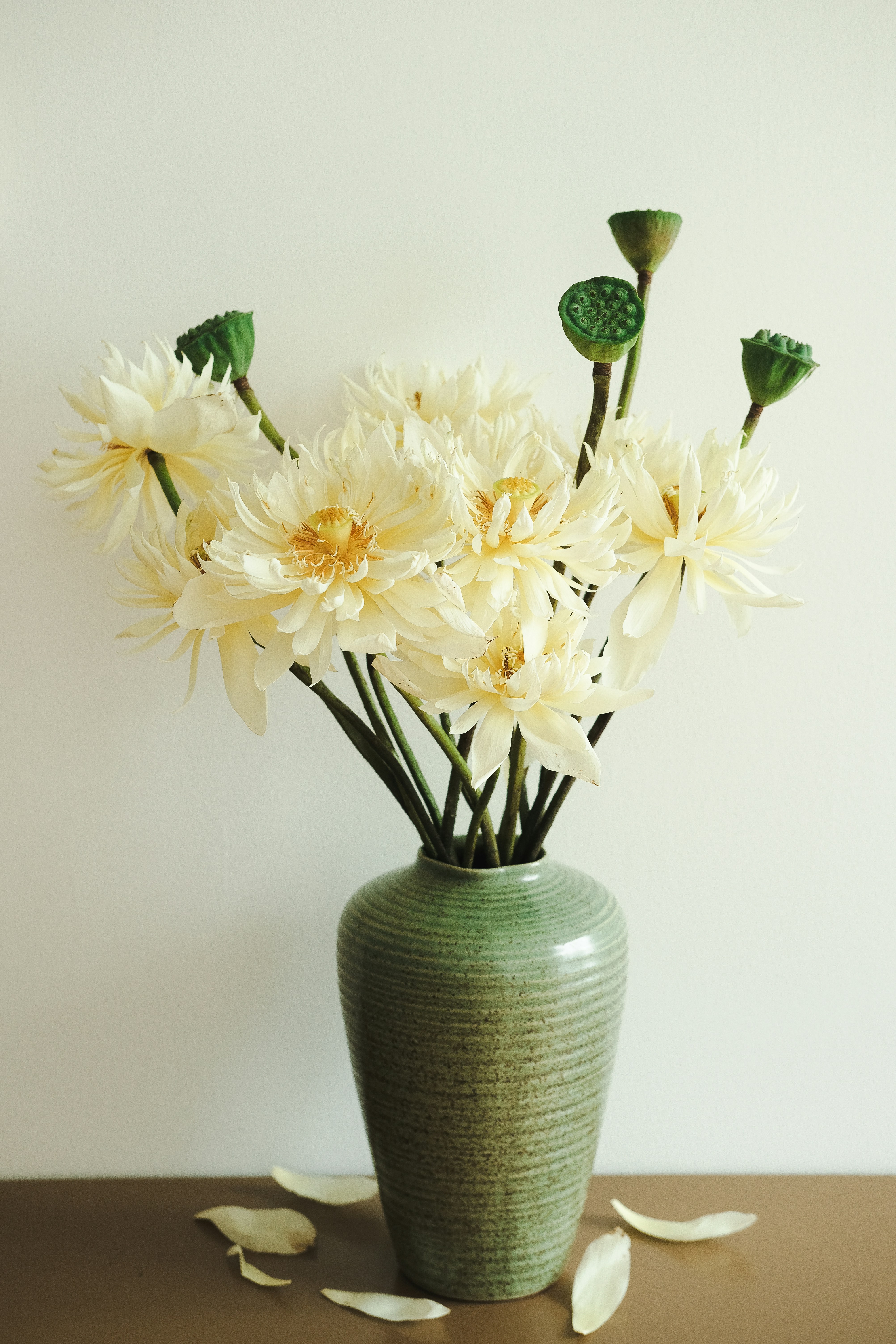 Photo by nganduong93