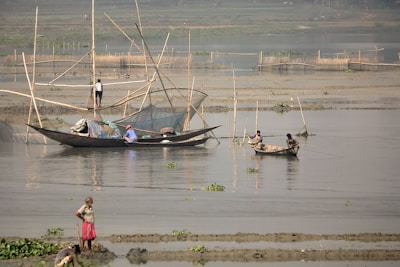 Several people are engaged in fishing activities along a calm river or lake, using small boats and fishing nets. The water is shallow, and makeshift bamboo structures are visible, likely used to support fishing nets. A person stands at the water's edge, observing the activities.