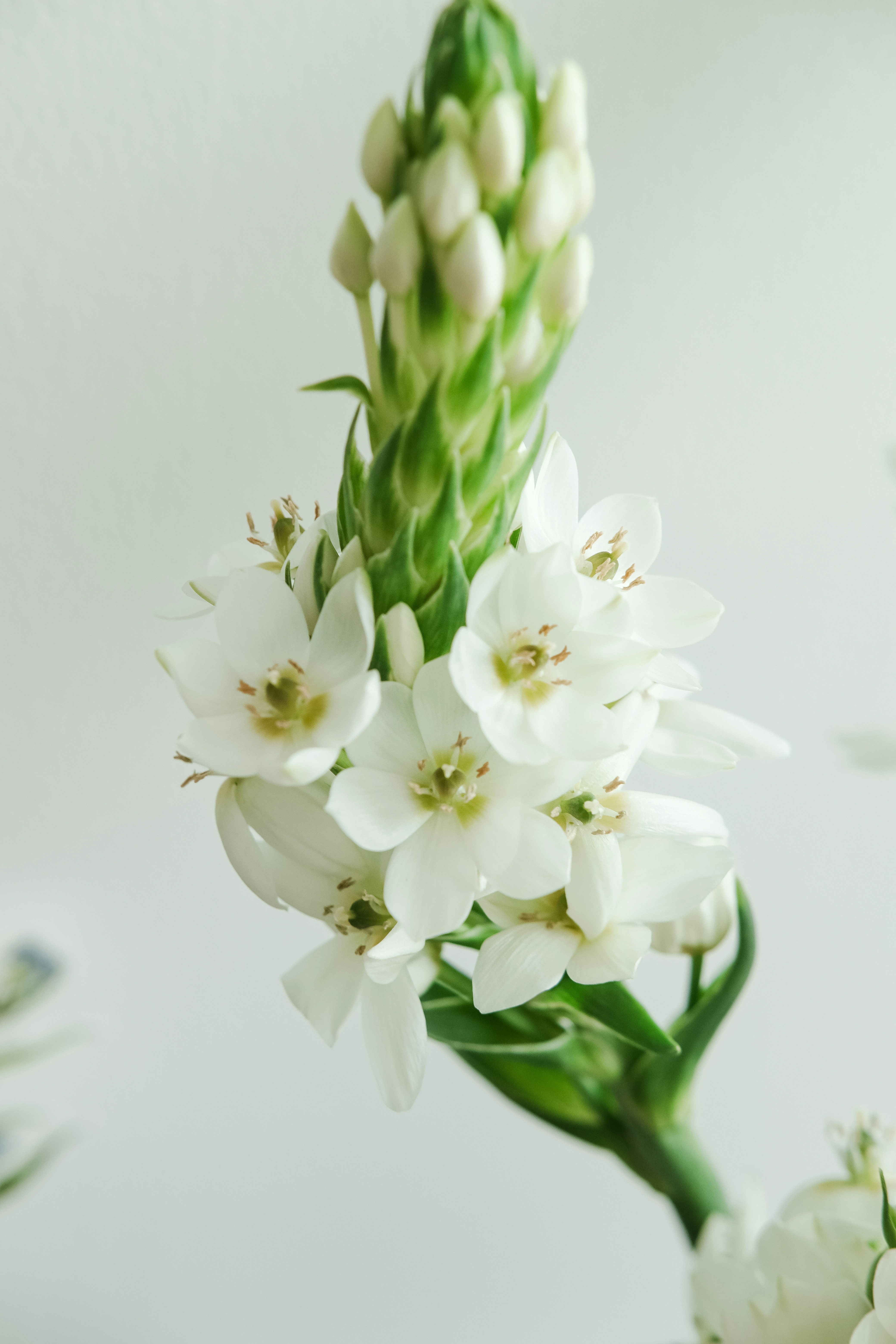 Photo by nganduong93