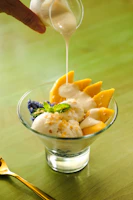 Elegant dessert featuring mango slices and a drizzle of sauce on a white dish.