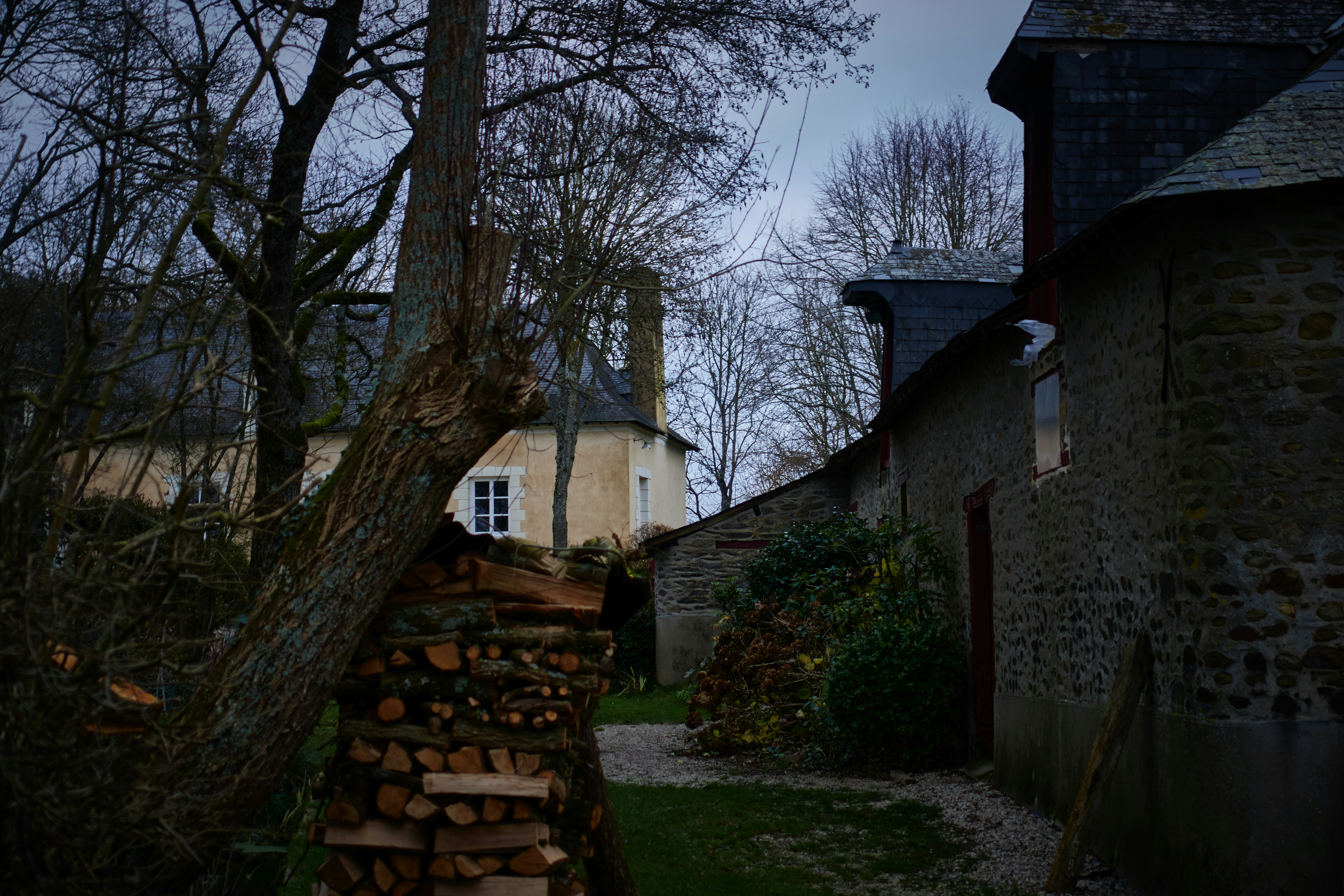 Bois de l'Escavée