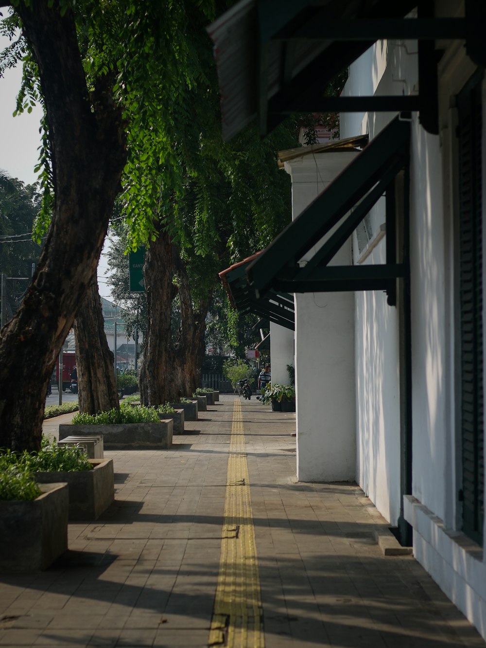 a street lined with trees next to a building