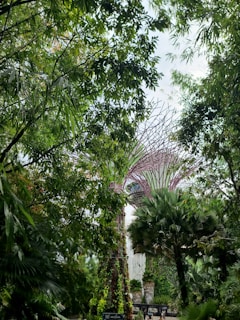A lush garden setting with tall, unique structures resembling tree-like towers surrounded by dense foliage and various tropical plants.
