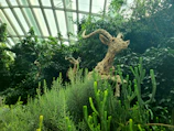 Lush green garden with elegant bird sculptures and natural light.