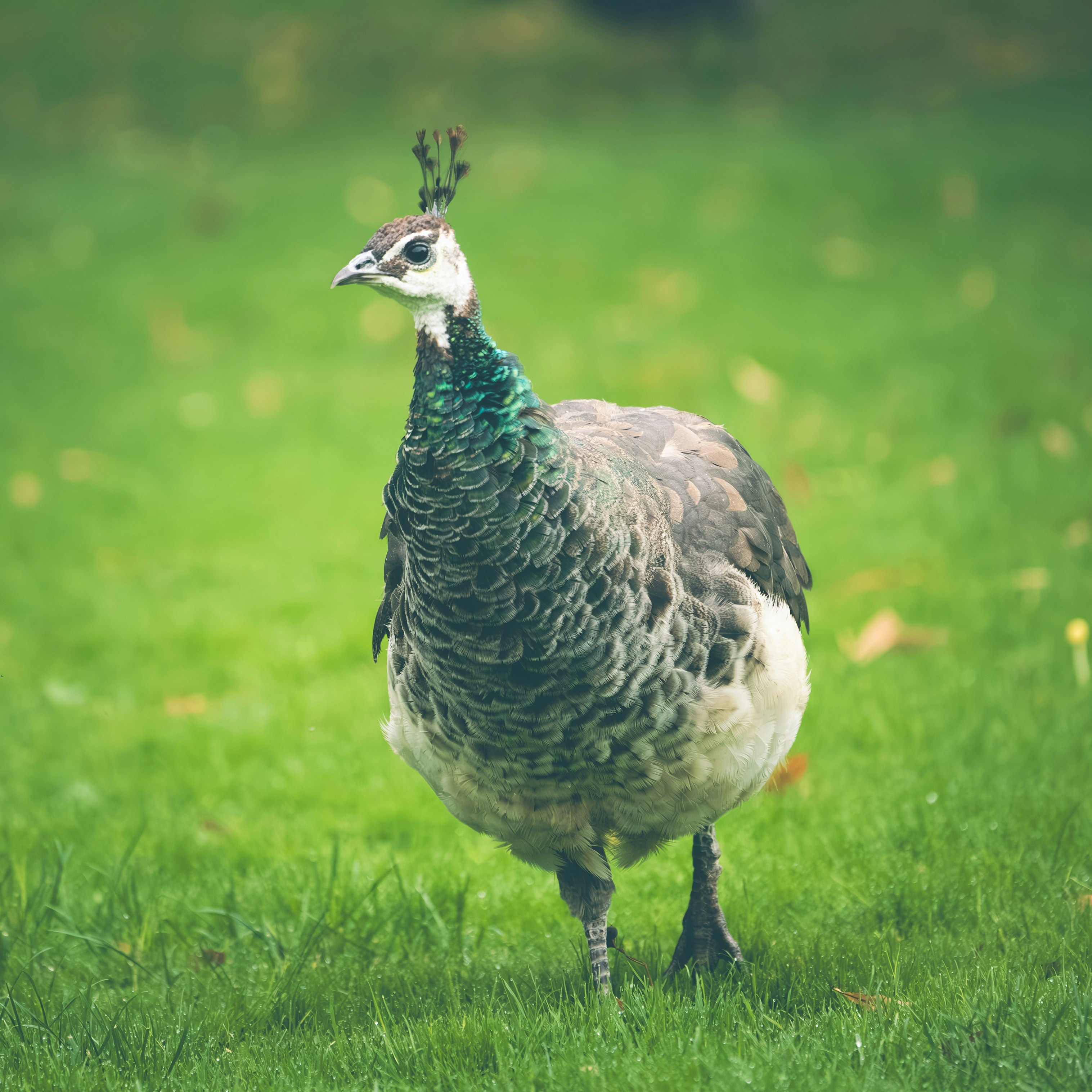 Photo by kai_sa_photography