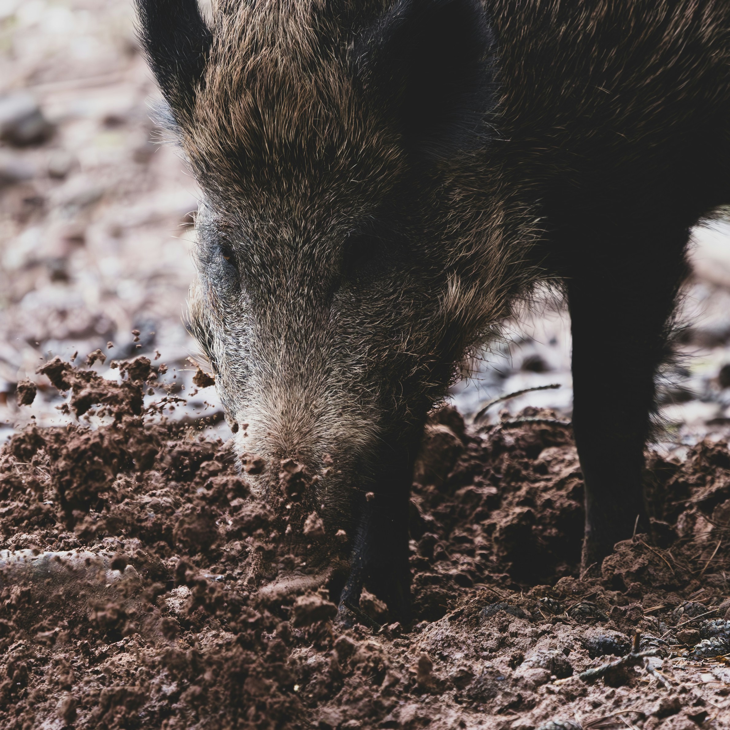 Photo by kai_sa_photography