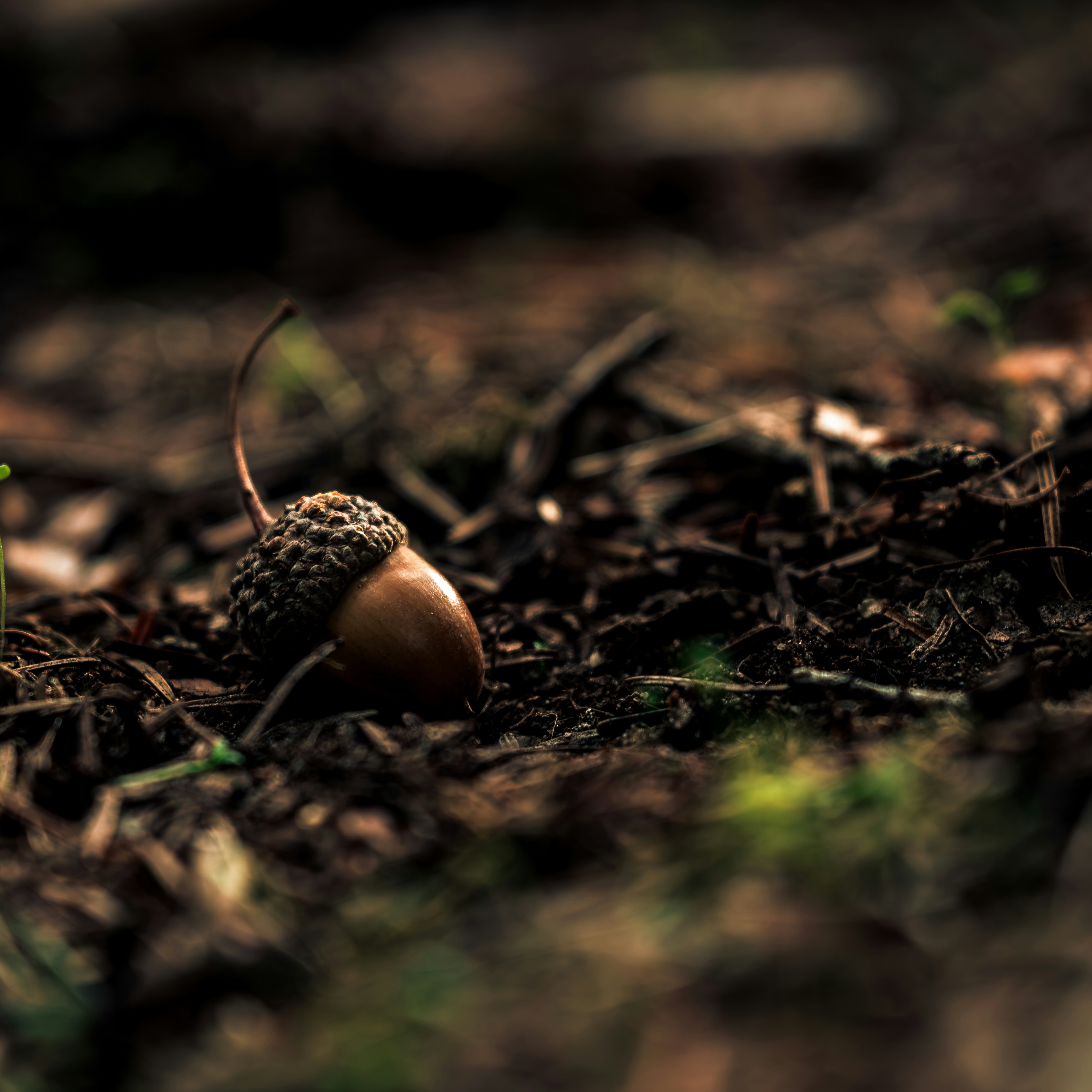 Photo by kai_sa_photography