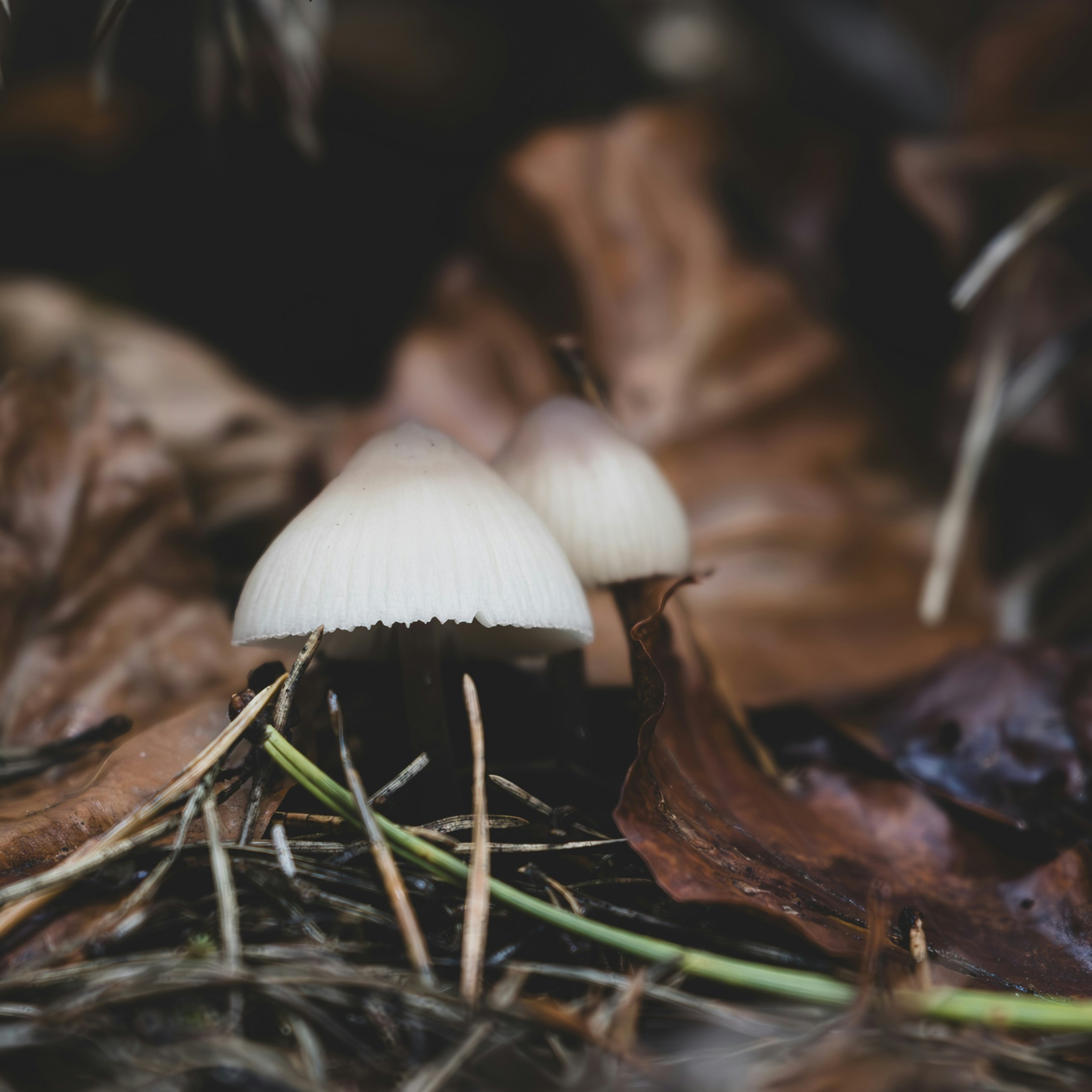 Photo by kai_sa_photography