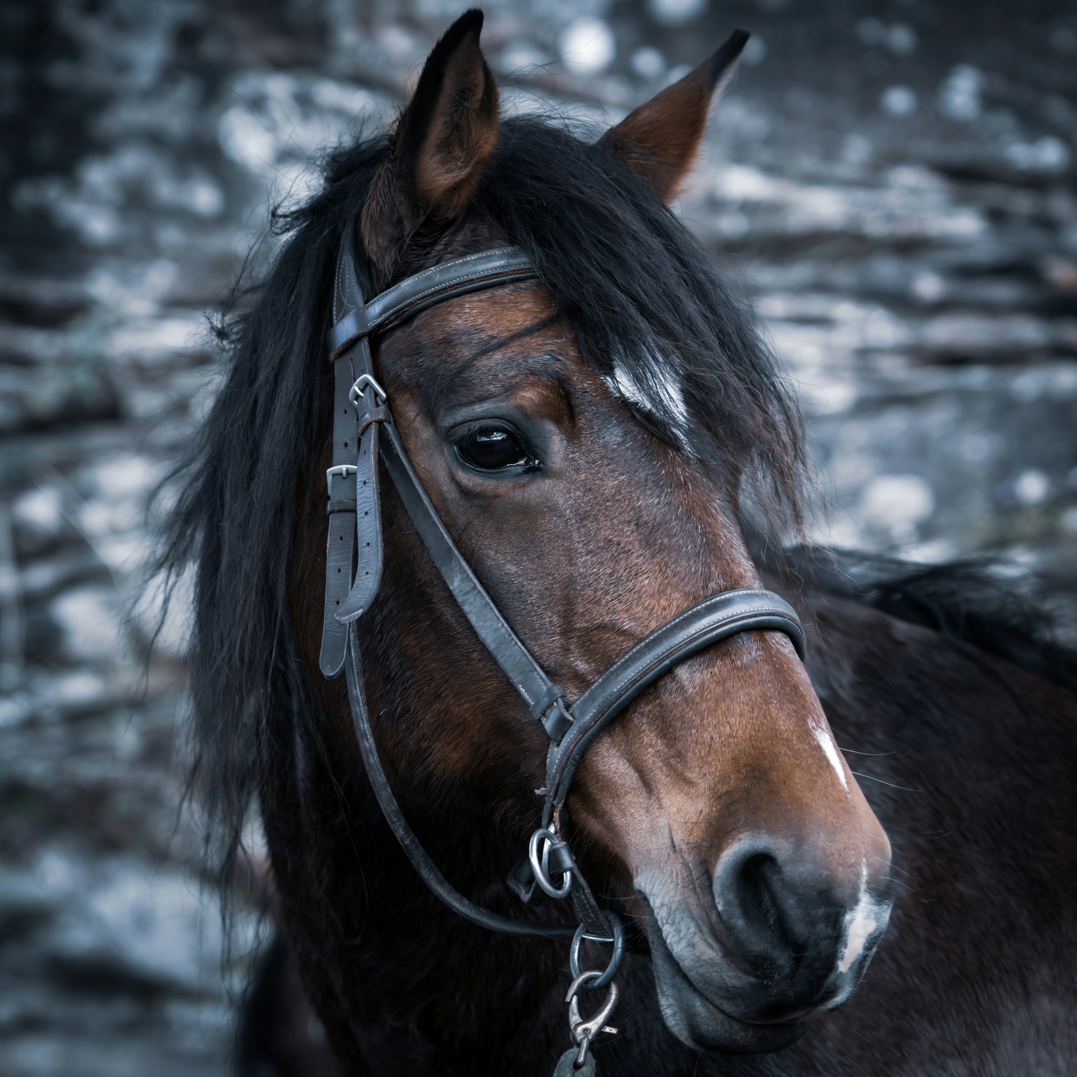 Photo by kai_sa_photography