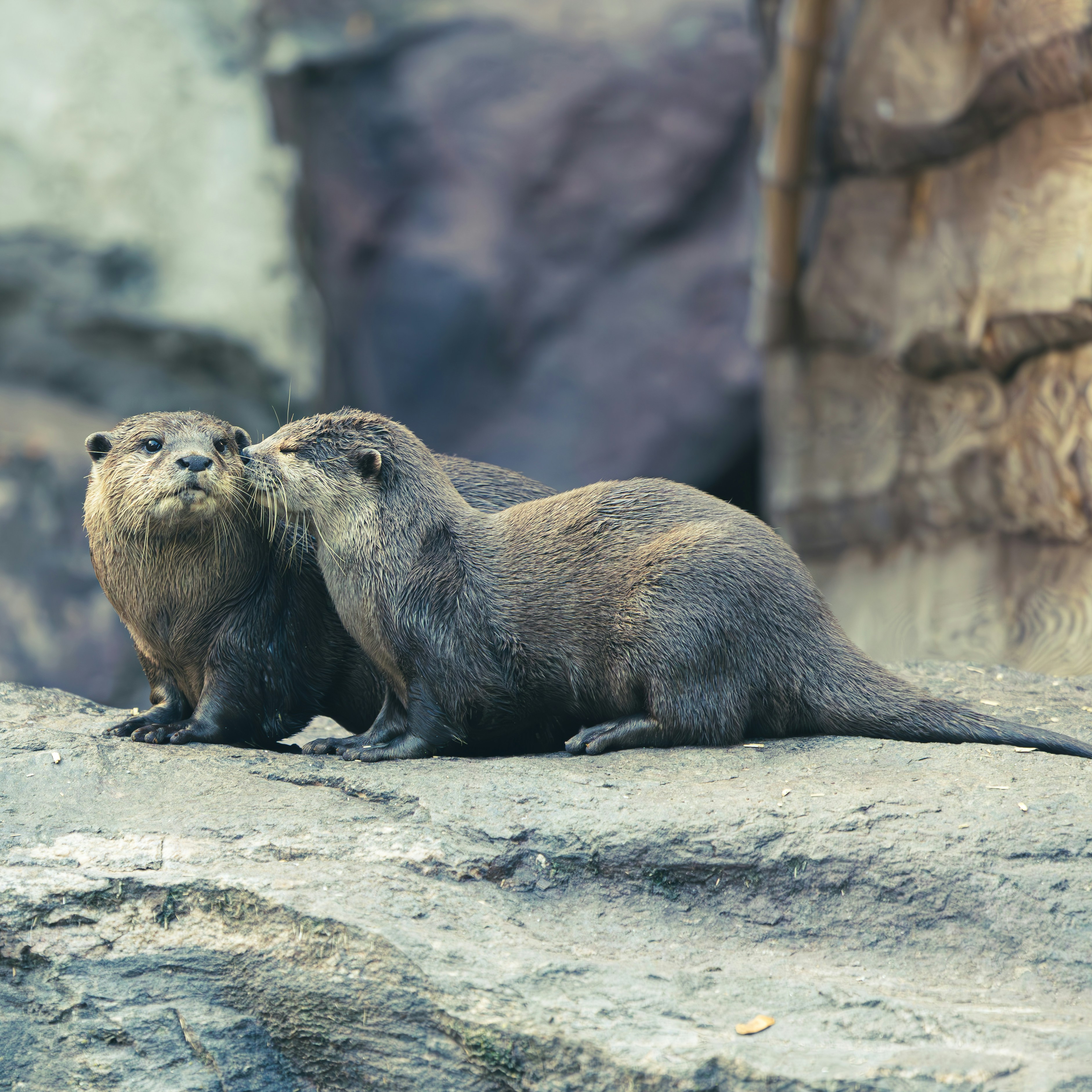 Photo by kai_sa_photography