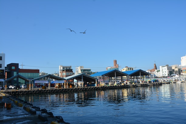 A waterfront scene with several market stalls having blue peaked roofs, alongside a calm body of water. Buildings line the waterfront, and two birds are flying in the sky.