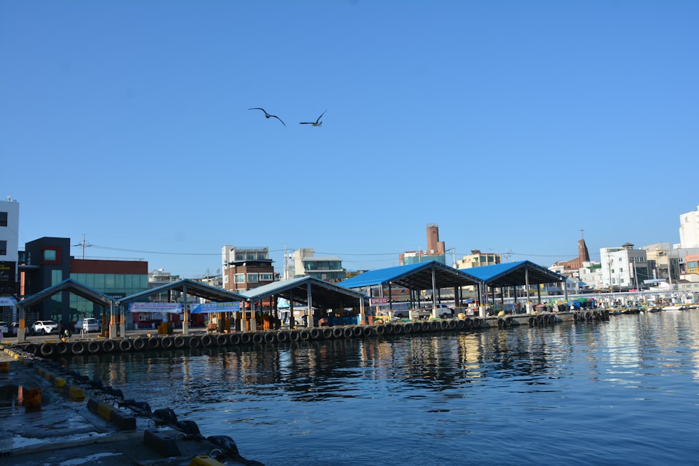 a seagull flying over the water near a pier