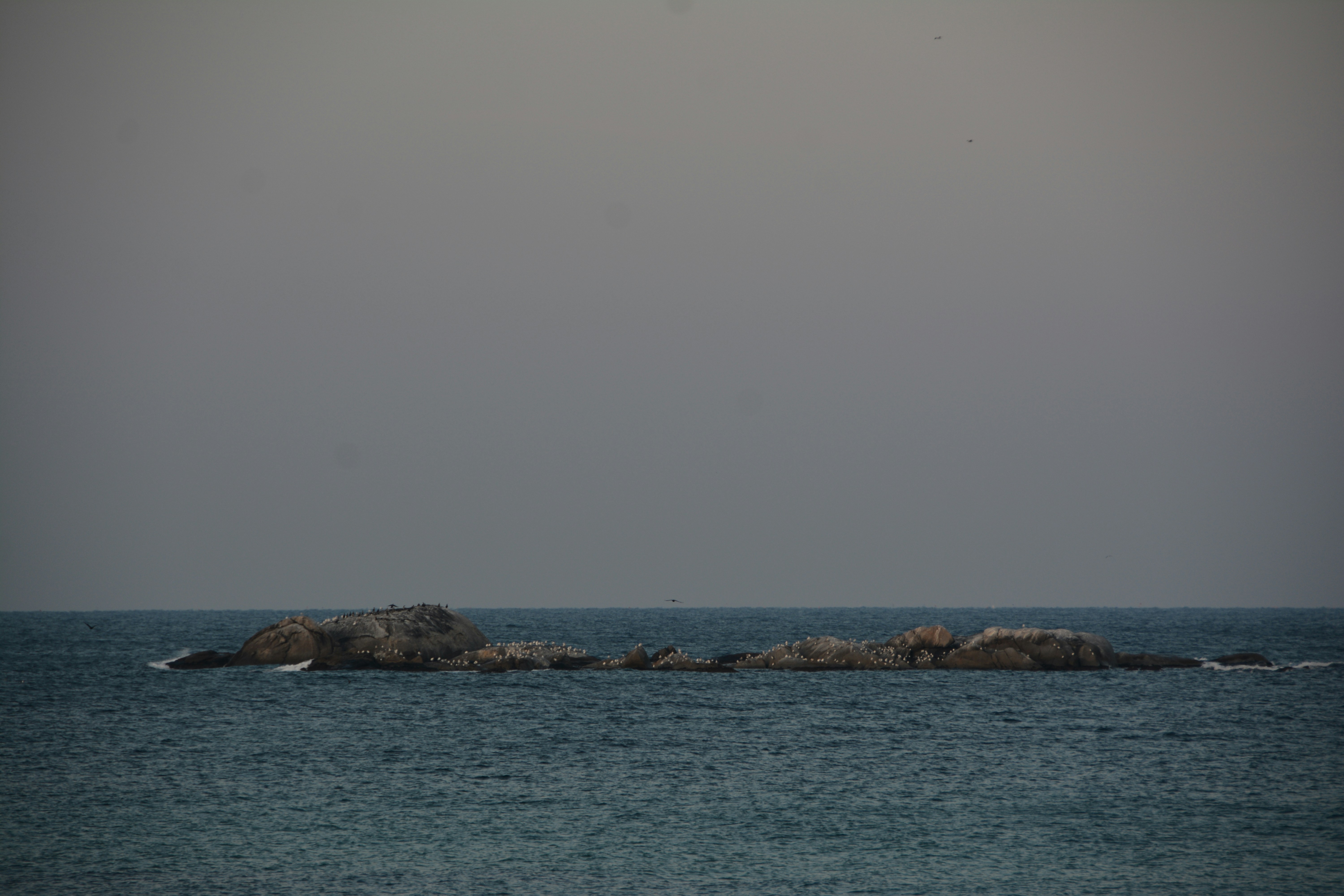 Photo by artististanbul