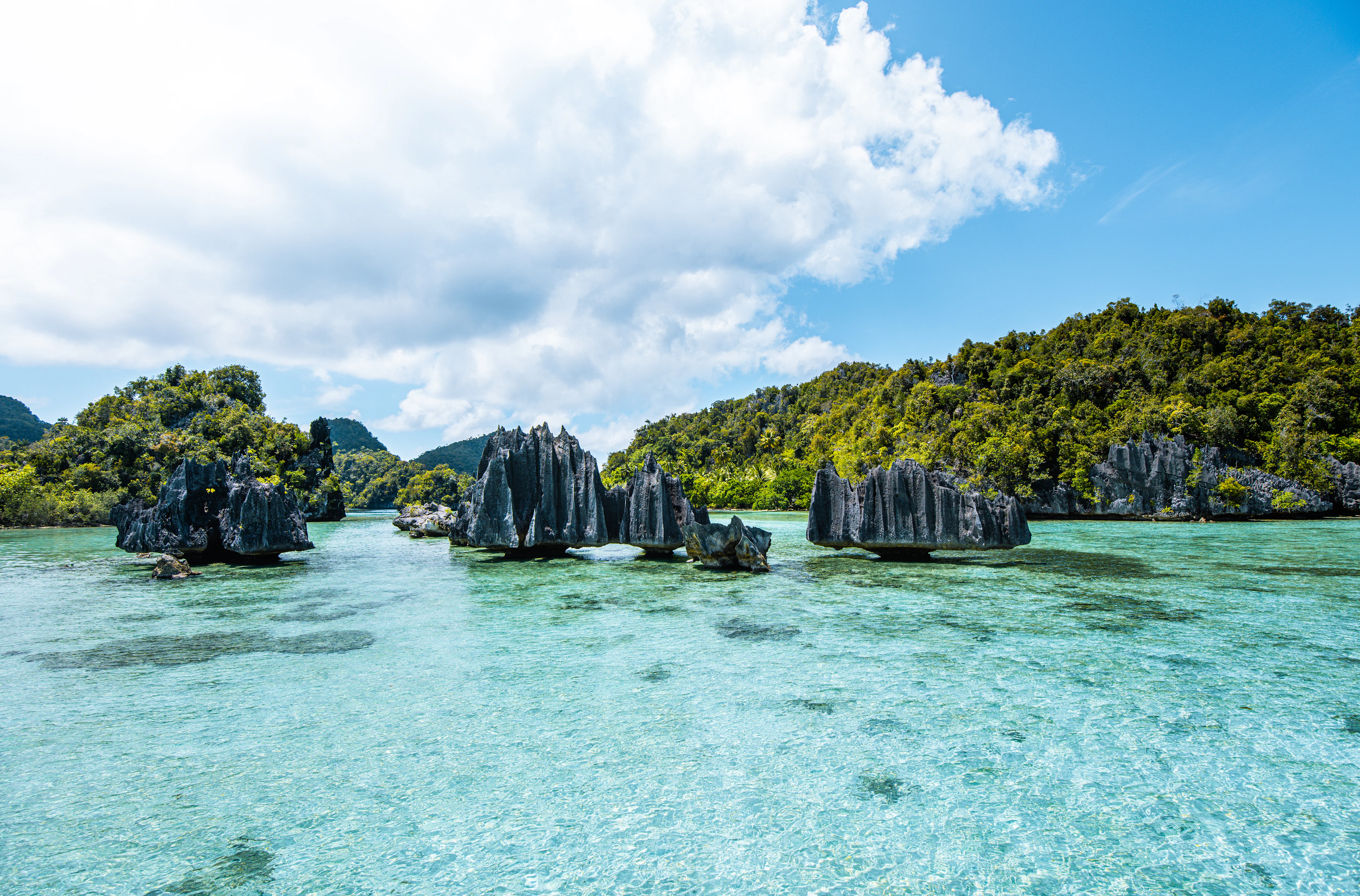 Sharp limestone rocks in clear shallow water off forested islands, Raja Ampat