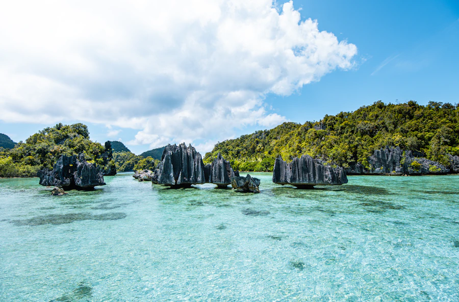 Карстовые острова и бирюзовые лагуны архипелага Raja Ampat