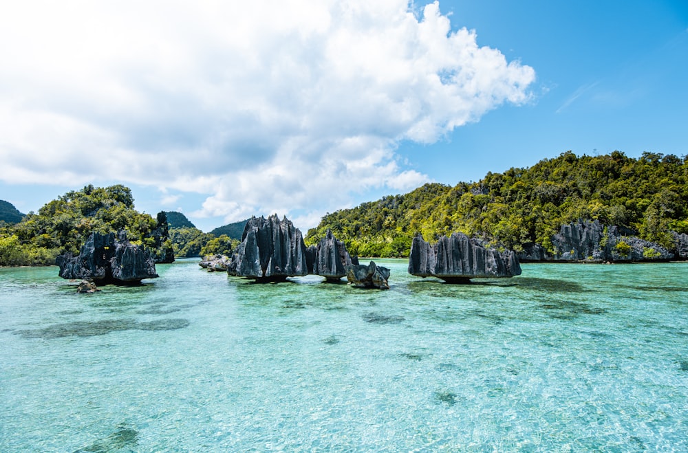 a body of water surrounded by trees and rocks