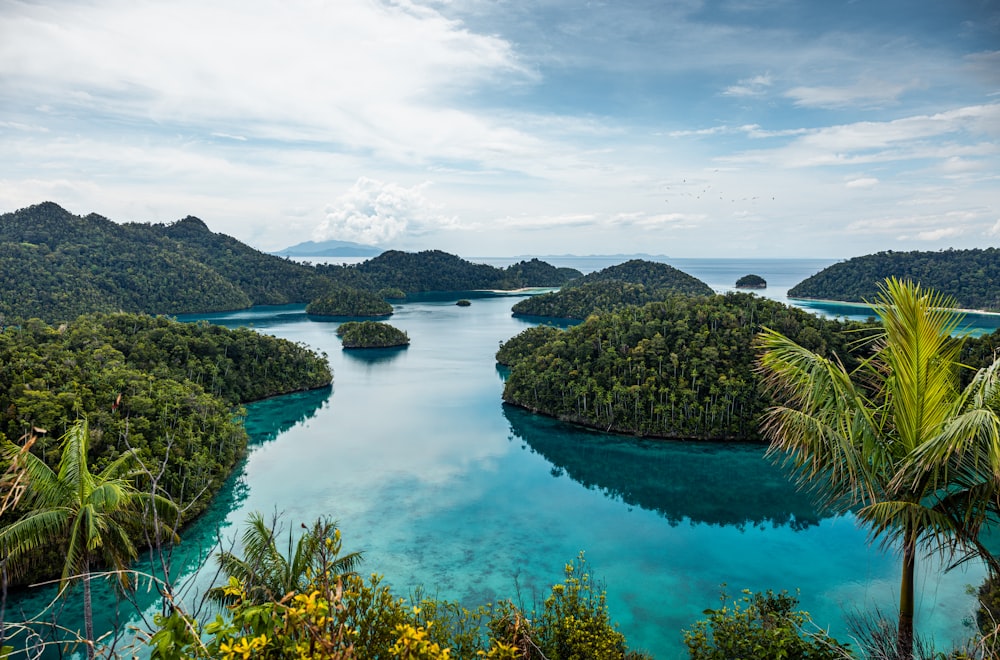 a body of water surrounded by trees and mountains