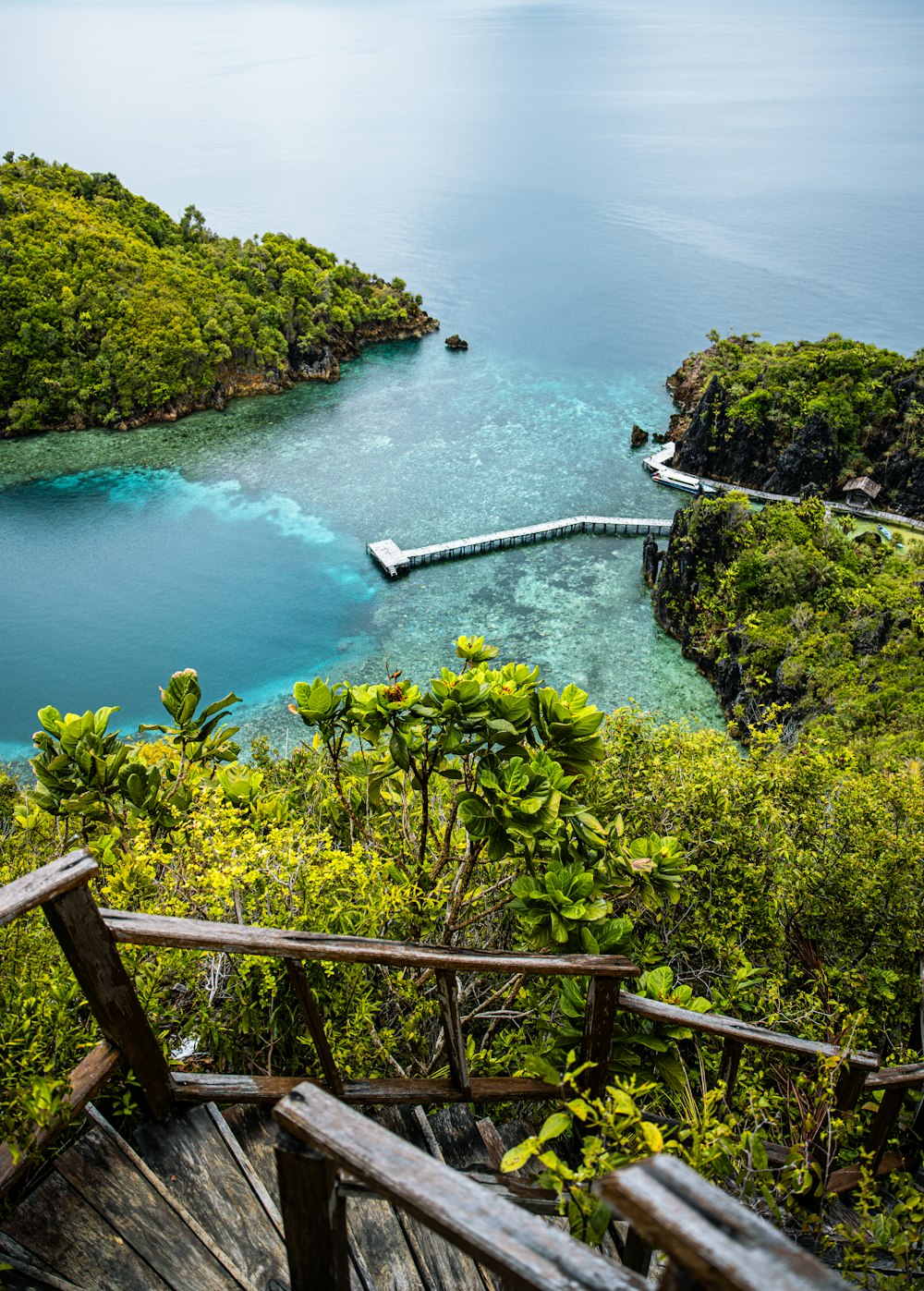 a view of a body of water surrounded by trees