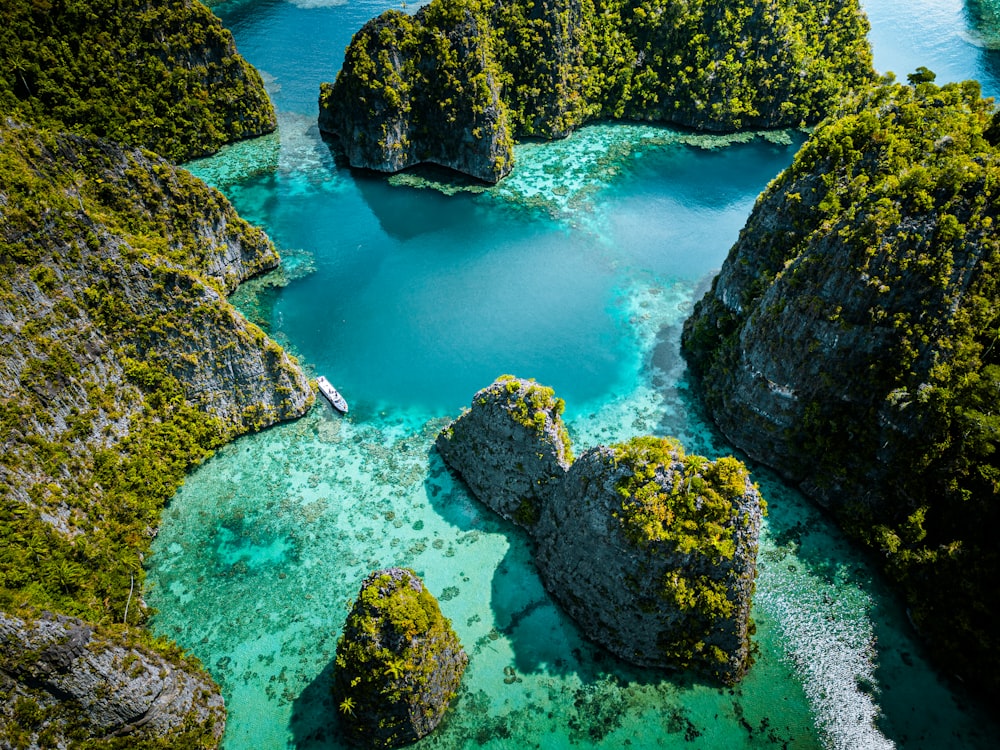 an aerial view of a body of water surrounded by trees