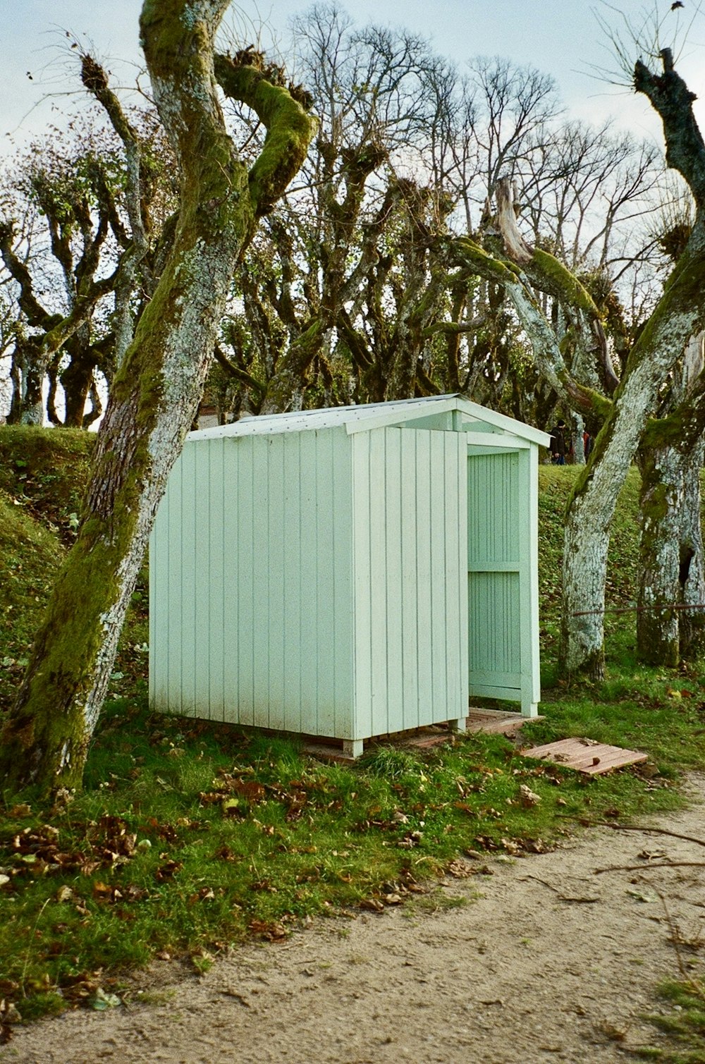 a small outhouse sitting in the middle of a forest