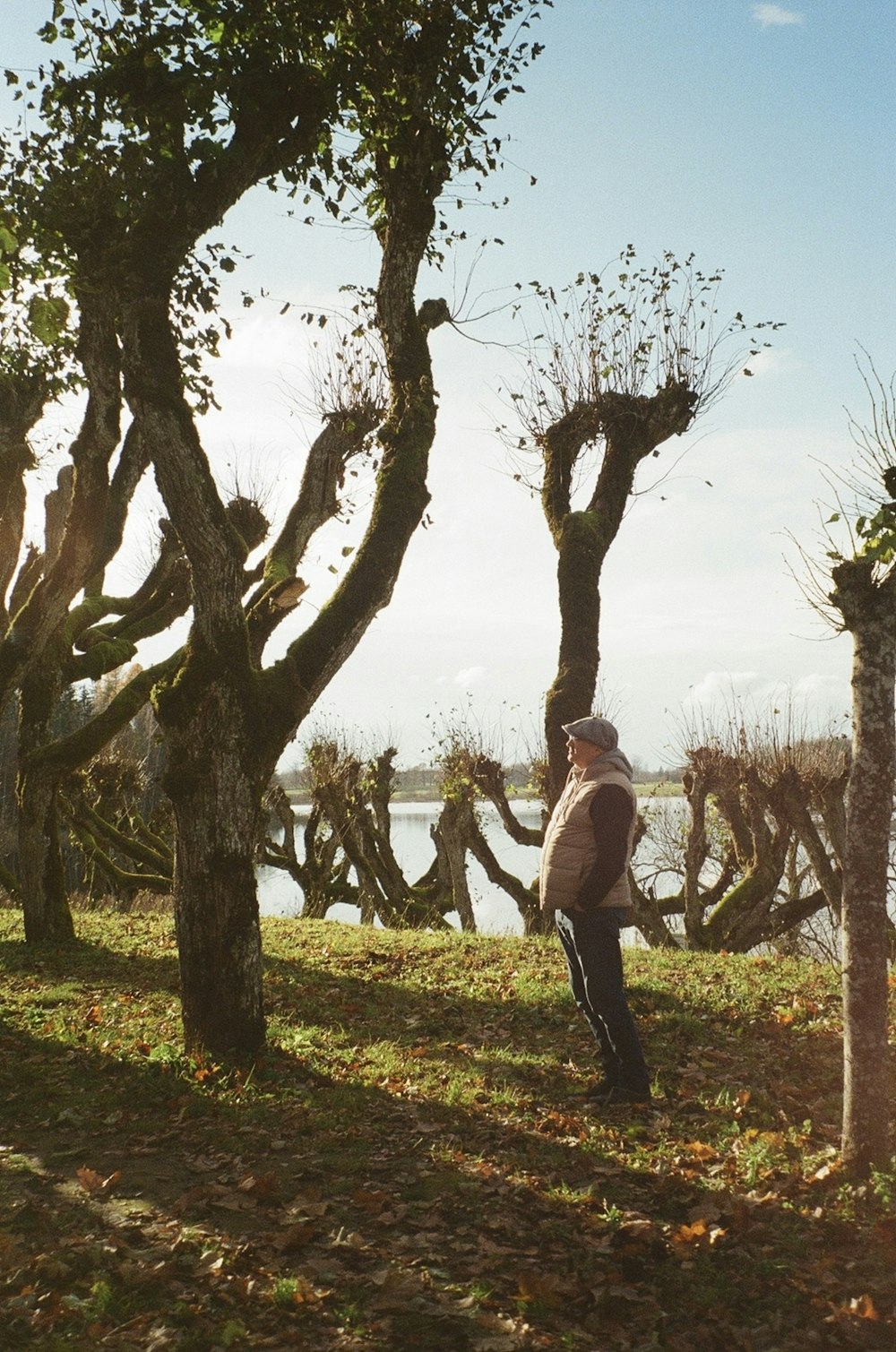 a man standing next to a bunch of trees