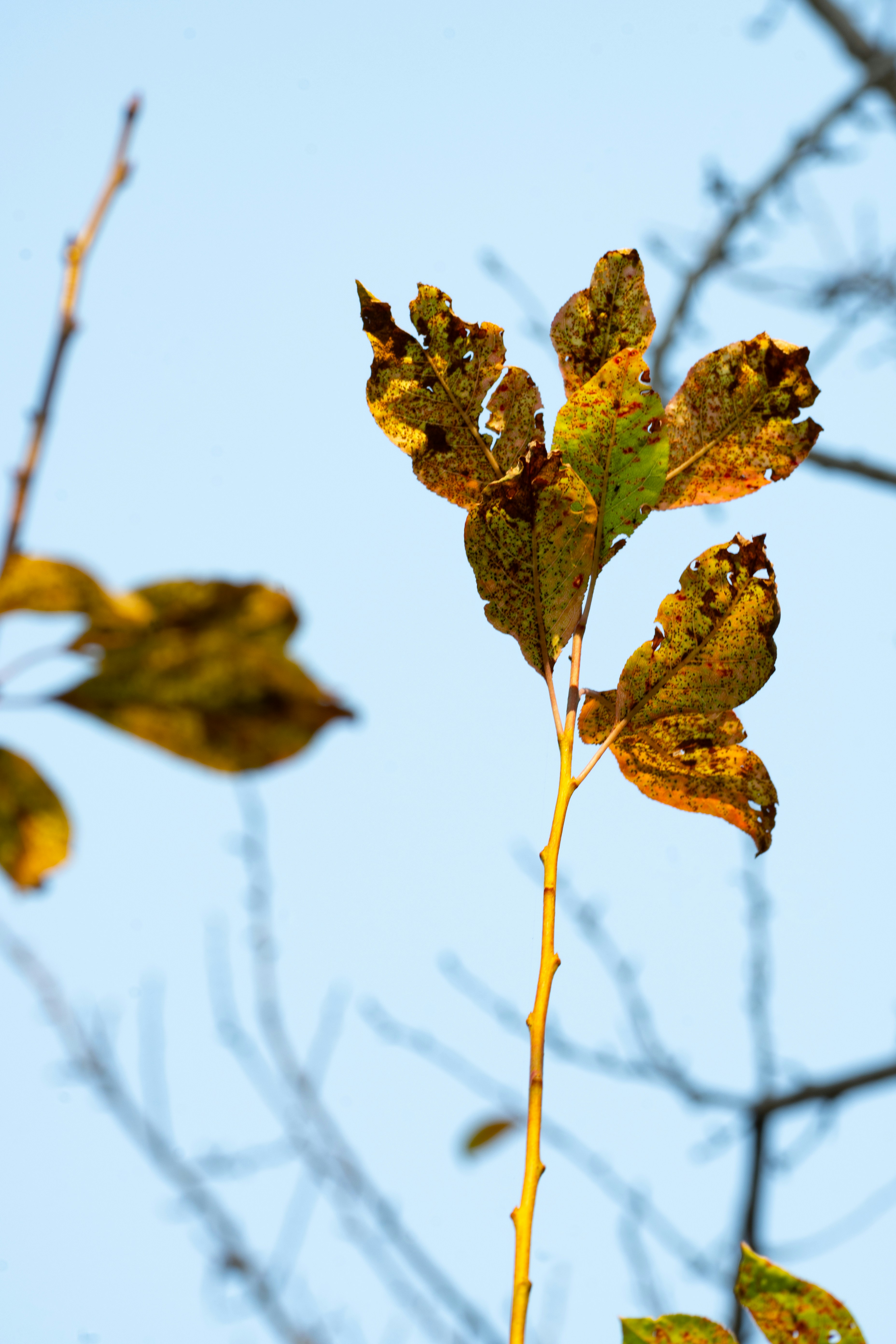 Photo by maheerakulsoom