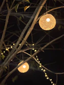 Decorative solar lanterns hanging from tree branches, creating a magical backyard ambiance