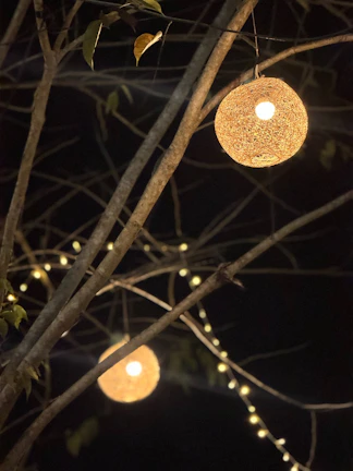 Decorative solar lanterns hanging from tree branches, creating a magical backyard ambiance