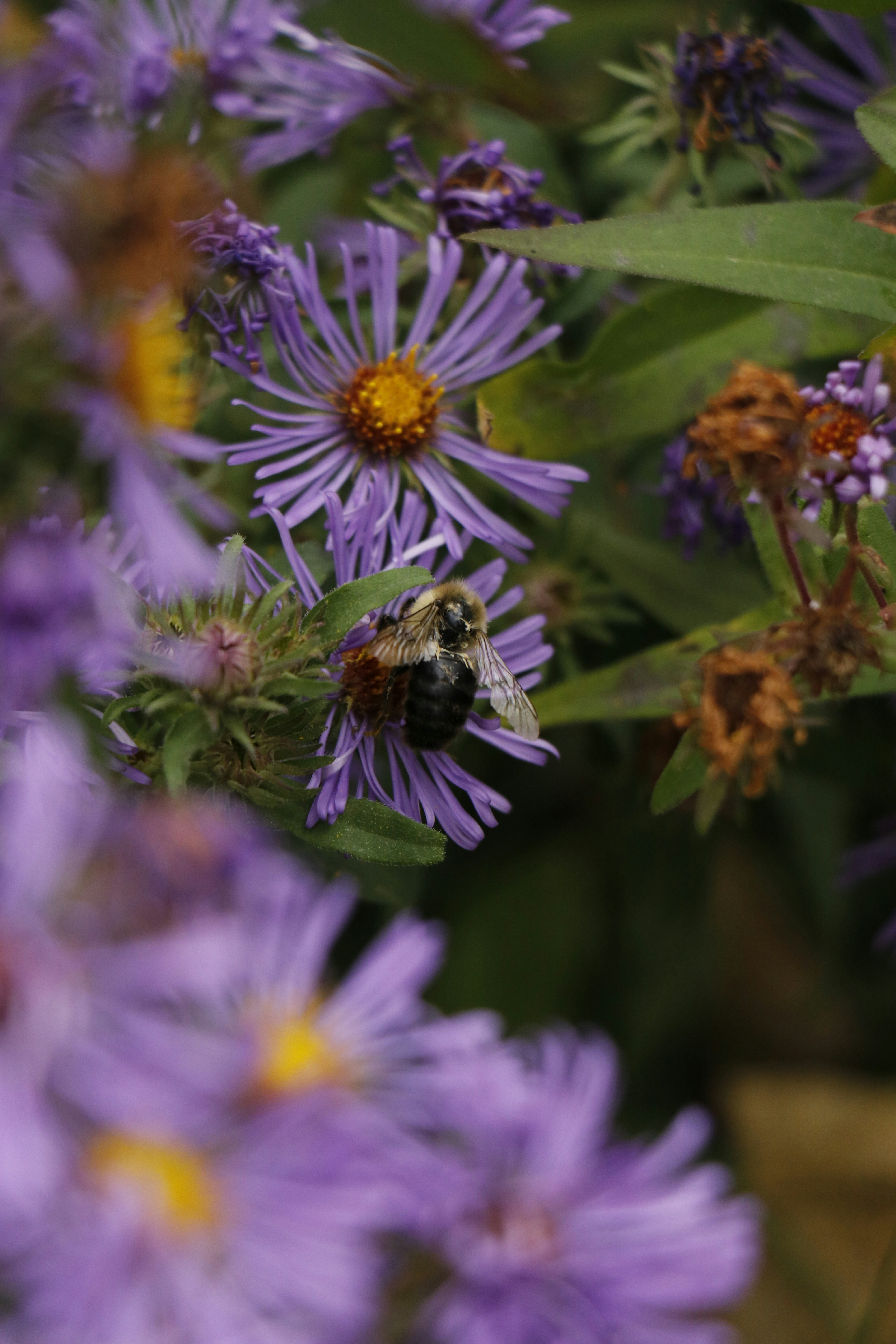 Photo by nazilaminoo